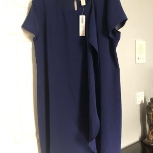 Navy Chico Dress